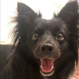 Meet your Posher, Lorena